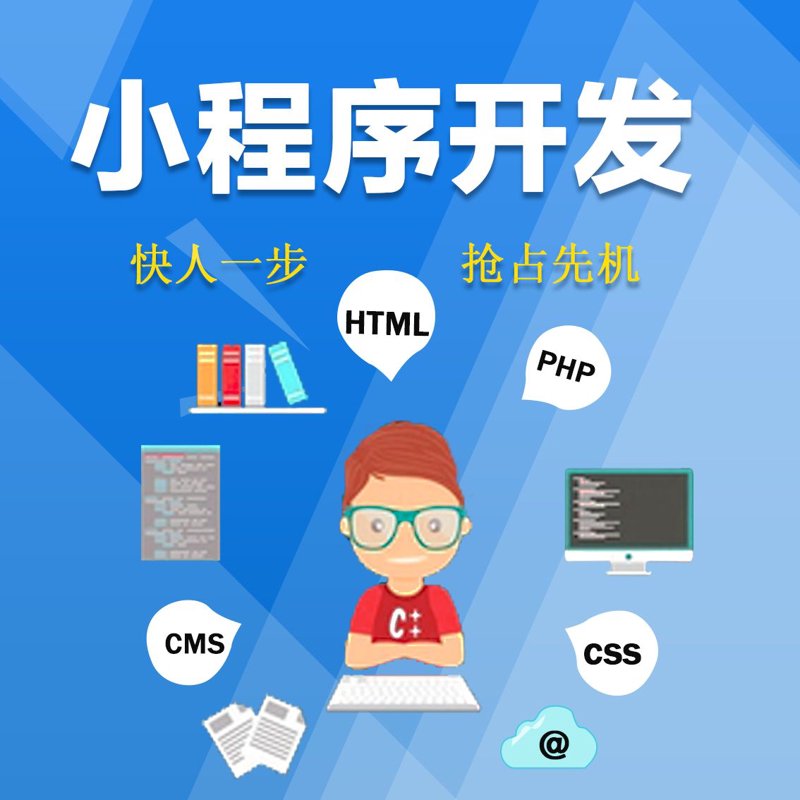 微信小程序定制：构建高效便捷的应用入口